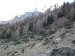 CIMG0046