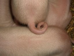 CIMG0135